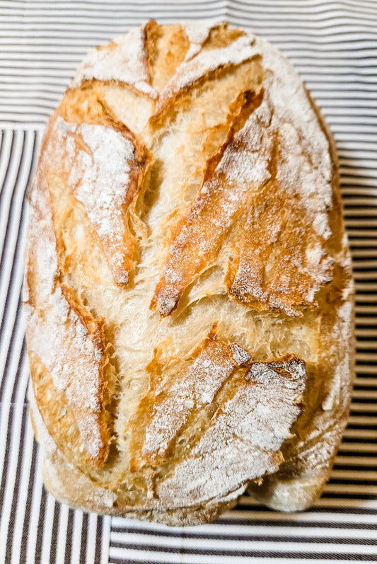 White Sandwich Oblong Sourdough Bread