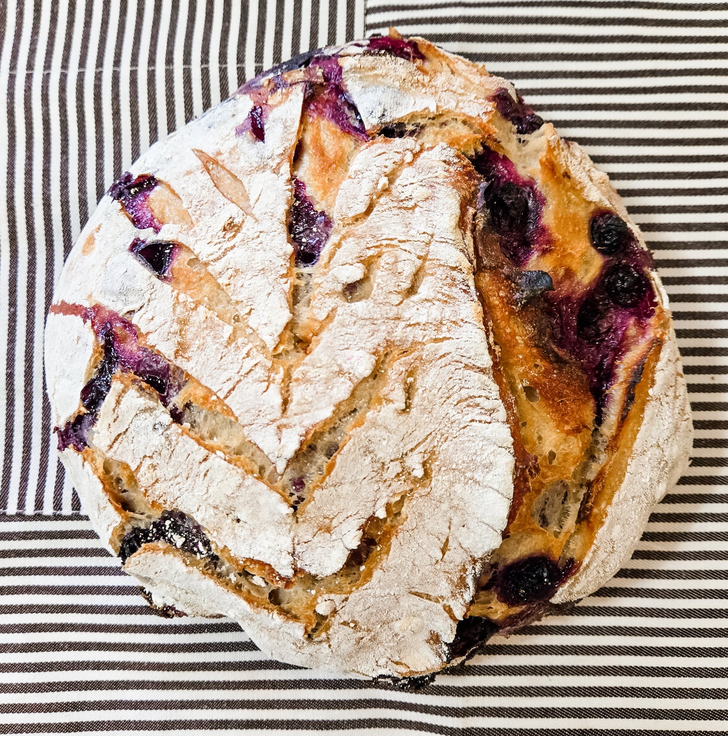 Lemon Blueberry Sourdough Bread + Lemon Glaze (on side)