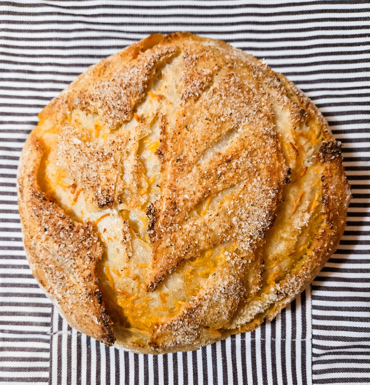 Garlic Salt Cheddar Sourdough Bread